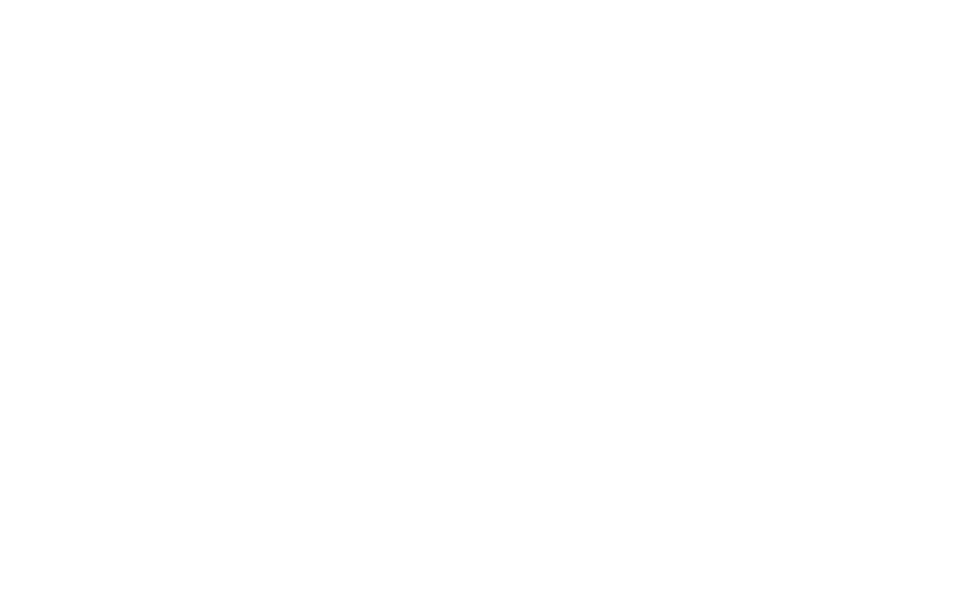 The Norin Logo